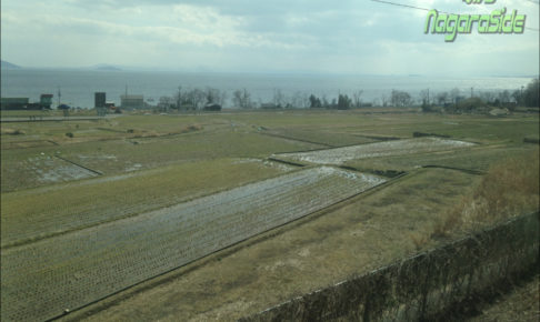湖西線から望む琵琶湖と水田