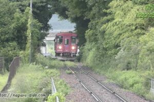 木のトンネルを通る長良川鉄道