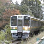 長篠城本丸を通過する飯田線の列車